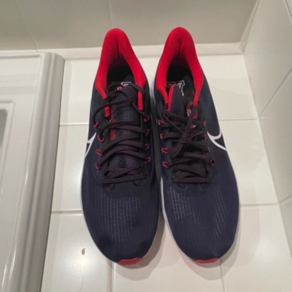 Nike Air Zoom Pegasus 39 'Arizona'
